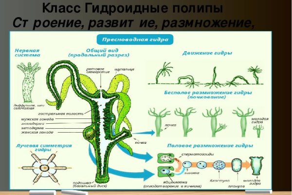 Ссылка на кракен тор kraken014 com